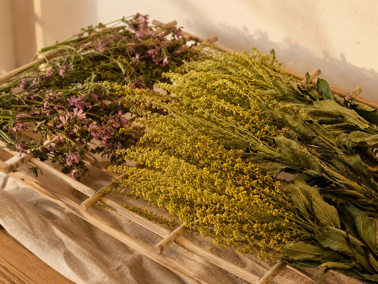 Plantas recolectadas secándose de forma tradicional